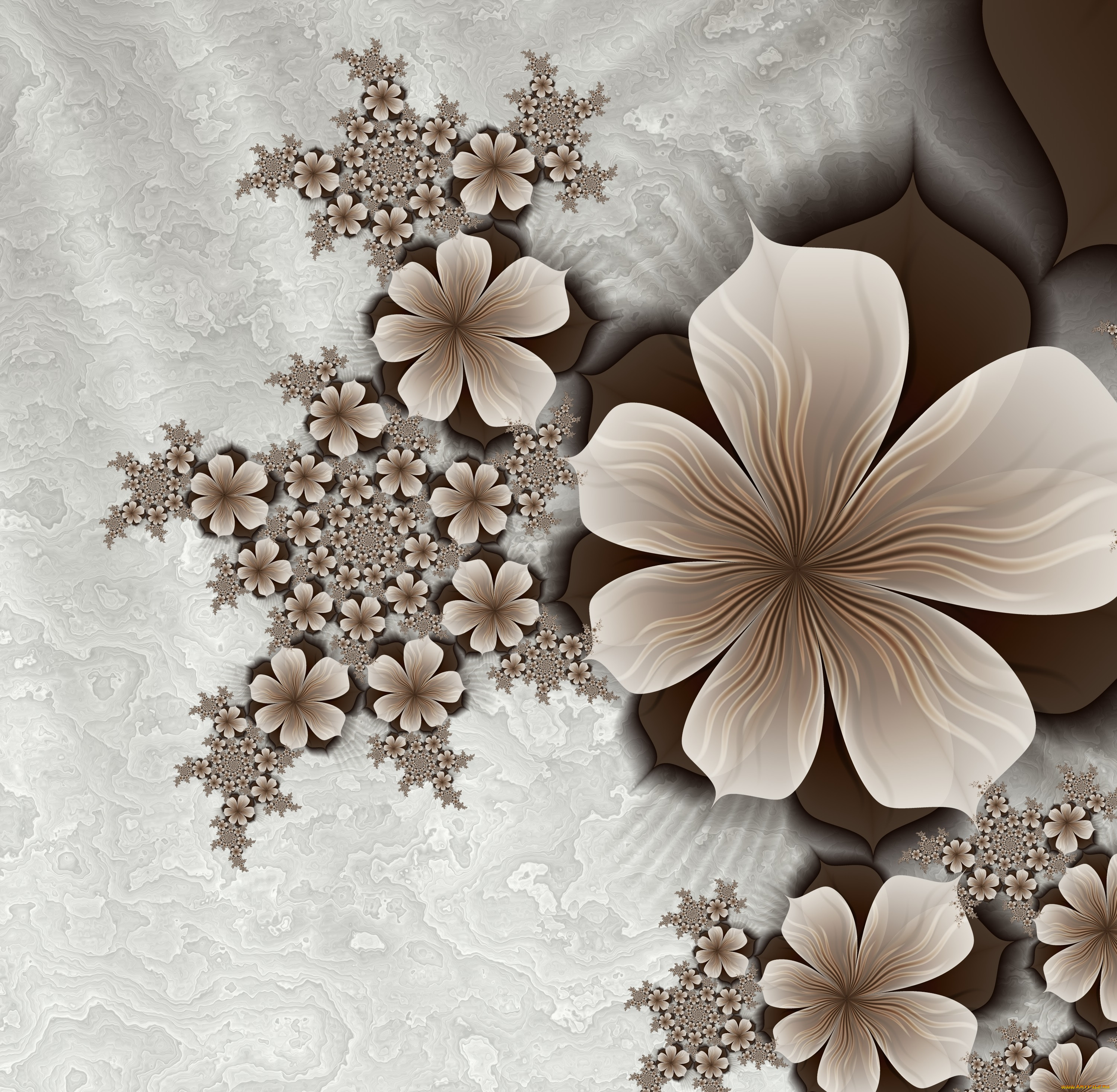 3, , flowers, , , 